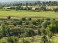 Участок · 11 га, Село Манкент б/н за 100 млн ₸ в Аксукенте — фото 21
