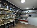 Дүкендер мен бутиктер · 256 м², бағасы: 115 млн ₸ в  — фото 19