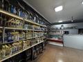 Дүкендер мен бутиктер · 256 м², бағасы: 115 млн ₸ в  — фото 20