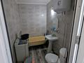 Отдельный дом · 6 комнат · 240 м² · 15 сот., . уч 184Н — Перед домом находится Амбар за 10 млн ₸ в  — фото 13