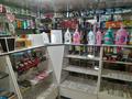 Магазины и бутики • 75 м² за 12.5 млн 〒 в Алге — фото 13