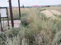 Участок · 10 соток, ул. Табигат 115 за 8 млн ₸ в Акмолинской обл. — фото 3