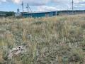 Участок · 10 соток, ул. Табигат 115 за 8 млн ₸ в Акмолинской обл. — фото 6