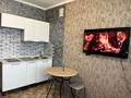 1-комнатная квартира · 18 м² · 5/5 этаж, Мусрепова 7/2 — Мусрепова/Абылай хана за 12 млн ₸ в Астане, Алматы р-н — фото 3