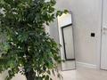 2-комнатная квартира · 55 м² · 9/12 этаж, Торайгырова 21/1 — Мустафина за 500 000 ₸ в Алматы, Бостандыкский р-н — фото 8