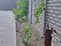 Жеке үй · 5 бөлме · 218 м² · 6 жүзд., 2-й пер. Самена Даненулы 33, бағасы: 75 млн ₸ в Таразе — фото 39