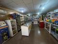 Магазины и бутики • 60 м² за 11 млн 〒 в Ушарале — фото 4