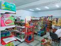 Магазины и бутики • 300 м² за 100 млн 〒 в Шымкенте, Каратауский р-н — фото 3