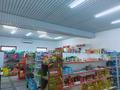 Магазины и бутики • 300 м² за 100 млн 〒 в Шымкенте, Каратауский р-н — фото 4