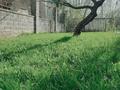 Участок · 13.5 соток, мкр Каргалы — Рауана за ~ 145 млн ₸ в Алматы, Наурызбайский р-н — фото 3