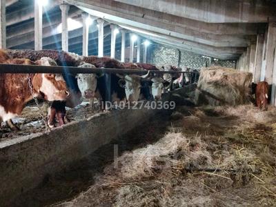 Склады · 4662.9 м² за 50 млн ₸ в Актобе, жилой массив Курайлы