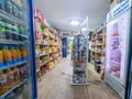 Магазины и бутики · 60 м² за 87 млн ₸ в Алматы, Алмалинский р-н — фото 4