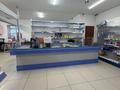 Магазины и бутики · 120 м² за 450 000 ₸ в Уральске — фото 6