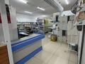 Магазины и бутики · 120 м² за 450 000 ₸ в Уральске — фото 7
