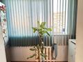 3-комнатная квартира · 96 м² · 5/10 этаж, Братьев Жубановых за 29 млн ₸ в Актобе — фото 18