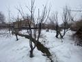 Жеке үй · 3 бөлме · 120 м² · 10 сот., Амангельди 9а, бағасы: 27 млн ₸ в Рыскулово — фото 13