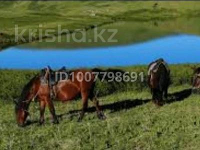 Жер телімі · 5275 га, Актобе, бағасы: 55 млн 〒