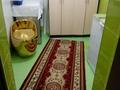 Отдельный дом · 5 комнат · 120 м² · 5.5 сот., Кошкарбаева 6А за 50 млн ₸ в Коянкусе — фото 14