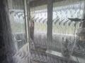 2-бөлмелі пәтер · 46 м² · 4/5 қабат, Павлова — Громова, бағасы: 12.5 млн ₸ в Шымкенте, Туран р-н — фото 3