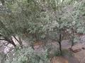1-комнатная квартира · 11 м² · 4/5 этаж, Жубанова 13 — Жубанова уг. ул Саина за 7.8 млн ₸ в Алматы, Ауэзовский р-н — фото 11