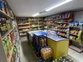 Магазины и бутики · 55 м² за 10 млн ₸ в Алматы, Алатауский р-н — фото 5