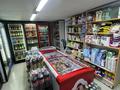 Магазины и бутики · 55 м² за 10 млн ₸ в Алматы, Алатауский р-н — фото 7