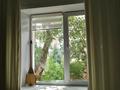 1-бөлмелі пәтер · 36 м² · 2/2 қабат, Бектурова 5 — Мира бектурова, бағасы: 20 млн ₸ в Павлодаре — фото 3