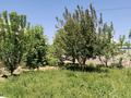 Отдельный дом · 5 комнат · 100 м² · 8 сот., мкр Кызылжар, Асадал угловой 84 — Куртаев за 40 млн ₸ в Шымкенте, Абайский р-н — фото 6