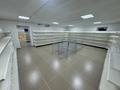 Свободное назначение · 178.3 м² за 36.6 млн ₸ в Актобе, мкр. Алтын орда