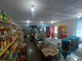 Магазины и бутики • 118.1 м² за 27 млн 〒 в Семее — фото 6