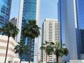 2-комнатная квартира · 51.1 м², Al Saef 1 Street - Barsha Heights 1 за 150 млн ₸ в Дубае — фото 10