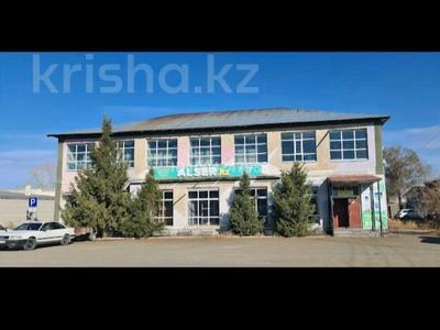 Еркін · 800 м², бағасы: 120 млн 〒 в Кокпекты