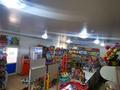 Магазины и бутики • 800 м² за 125 млн 〒 в Караоткеле — фото 2