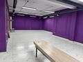 Свободное назначение · 240 м² за 650 000 ₸ в Алматы, Турксибский р-н — фото 8