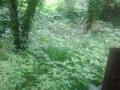 Жеке үй · 2 бөлме · 38 м² · 4.5 жүзд., Кеңсай ш/а. — Остановка " Зимняя", бағасы: 10 млн ₸ в Алматы, Медеуский р-н — фото 3