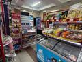 Магазины и бутики · 120 м² за 500 000 ₸ в Алматы, Бостандыкский р-н — фото 5
