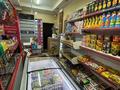 Магазины и бутики · 120 м² за 500 000 ₸ в Алматы, Бостандыкский р-н — фото 6