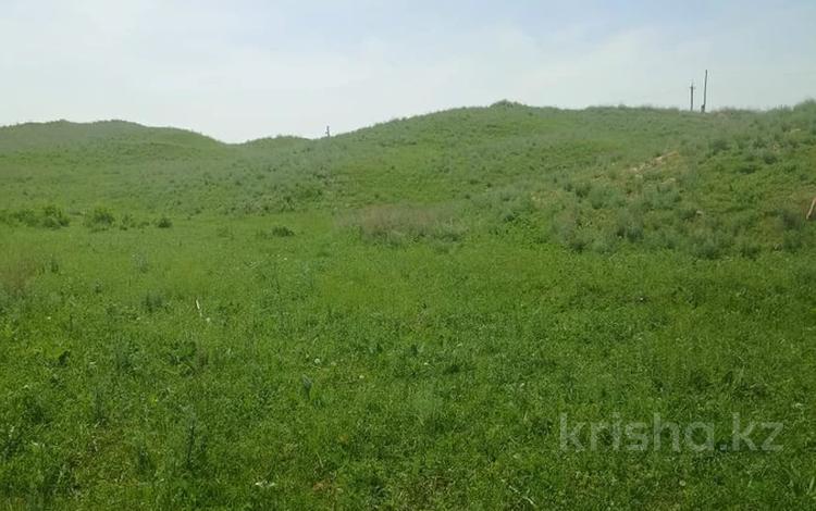 Жер телімі · 24 га, Қасымбек, бағасы: 8 млн ₸ в  — фото 2