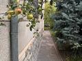 Отдельный дом · 7 комнат · 440 м² · 9 сот., мкр Таугуль-3 17 — ул. Ильяса Ахметова за 229.5 млн 〒 в Алматы, Ауэзовский р-н — фото 38