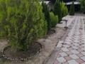 Отдельный дом · 5 комнат · 180 м² · 16 сот., Тамабая 10 — В центре поселка Береке, вдоль трассы, напротив поликлиники за 35 млн ₸ — фото 3