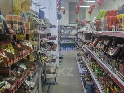 Еркін, дүкендер мен бутиктер · 188 м², бағасы: 225 млн ₸ в Астане, Сарайшык р-н