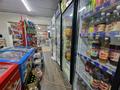 Еркін, дүкендер мен бутиктер · 80 м², бағасы: 500 000 ₸ в Алматы, Жетысуский р-н — фото 13