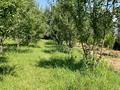 Отдельный дом · 6 комнат · 210 м² · 33 сот., Д.Әшірбай 91 — Бірінші мамыр ауылы за 50 млн ₸ в Ленгере — фото 25