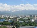 1-бөлмелі пәтер · 30 м² · 14/17 қабат, Ауэзова 2/8, бағасы: 16 000 ₸ в Алматы, Алмалинский р-н — фото 10