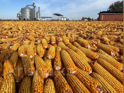 Завод · 3 га, Село Таскарасу — ул. Бокина за 270 млн 〒 в Чундже