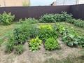 Отдельный дом · 4 комнаты · 145 м² · 8 сот., Мкр Курылысшы, улица Акжар 18 за 51.5 млн ₸ в  — фото 31