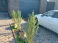 Отдельный дом · 4 комнаты · 160 м² · 7 сот., Карбышева за 99 млн ₸ в Уральске — фото 5