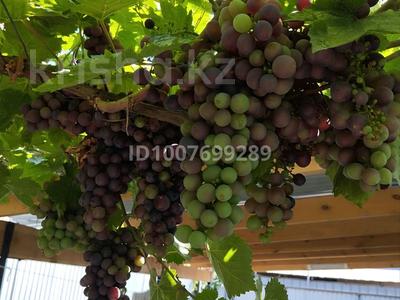 Дача · 5 комнат · 10 м² · 6 сот., Грушовая 124 — Садовая за 23 млн 〒 в Талгаре