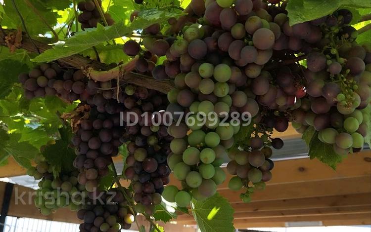 Дача · 5 комнат · 10 м² · 6 сот., Грушовая 124 — Садовая за 23 млн 〒 в Талгаре — фото 2