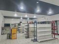 Магазины и бутики · 1000 м² за 42 млн ₸ в  — фото 4